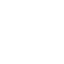 actual-icon